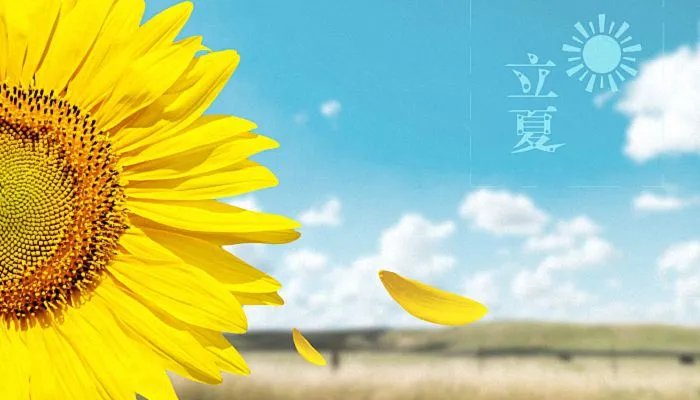 立夏节气的寓意和传统