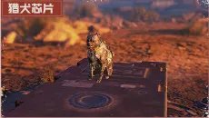 《使命召唤手游》猎犬芯片使用技巧 猎犬芯片详细介绍