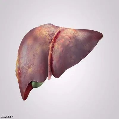 中度脂肪肝的症状有哪些