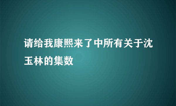 请给我康熙来了中所有关于沈玉林的集数