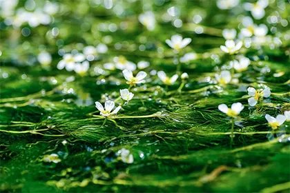 农历二月三十几年遇一次?2023癸卯年二月有三十日吗