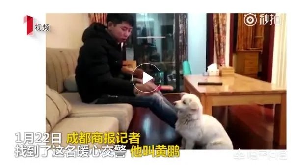 如何看待成都街头流浪小狗求助辅警，守候路边等他下班，最终被收养？