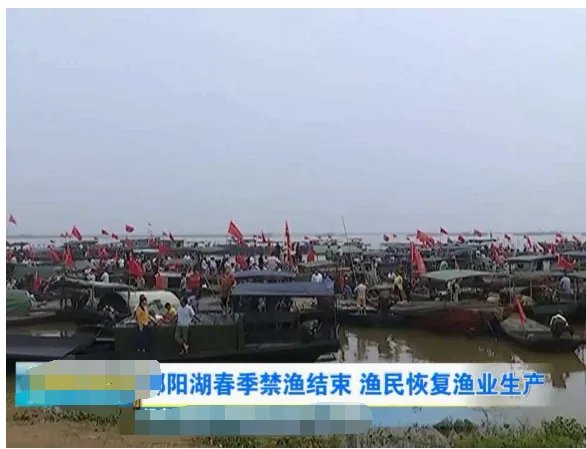 中国最大淡水湖鄱阳湖禁渔什么时候结束?