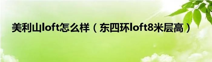 美利山loft怎么样(东四环loft8米层高)