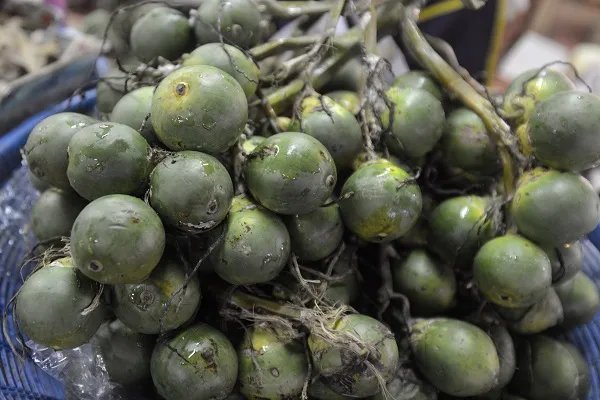 吃槟榔对身体好吗