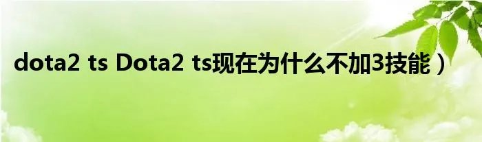 dota2 ts Dota2 ts现在为什么不加3技能)