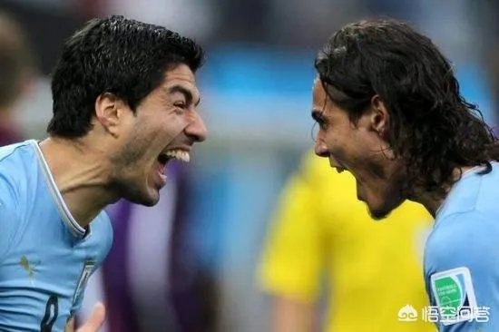 乌拉圭对埃及,你更看好谁?
