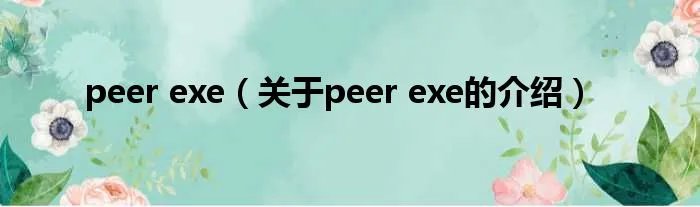 peer exe（关于peer exe的介绍）