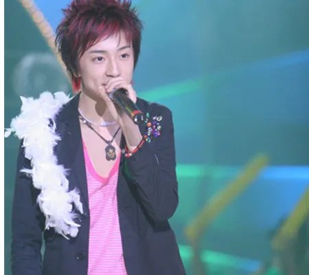 师洋图片高清集锦 因凭借《舞娘》引起观众热议