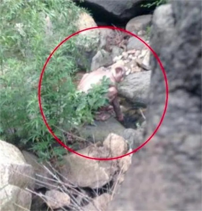 怪兽是否存在 怀柔怪兽事件真相揭秘（未知）