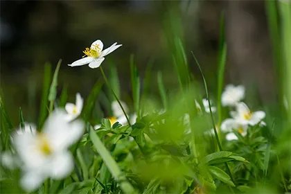 农历二月三十几年遇一次?2023癸卯年二月有三十日吗