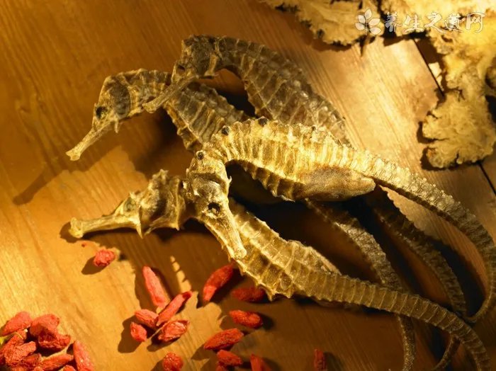 老人怎样修身养性