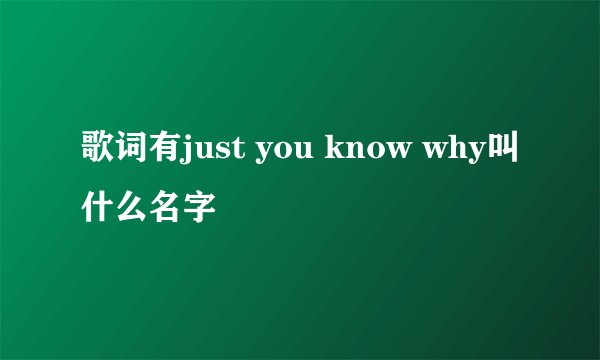 歌词有just you know why叫什么名字