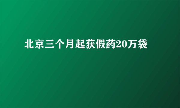 北京三个月起获假药20万袋