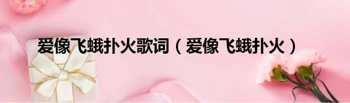爱像飞蛾扑火歌词(爱像飞蛾扑火)