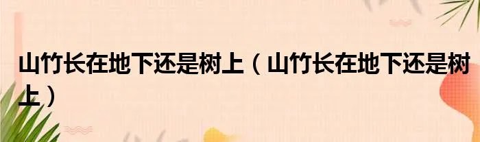 山竹长在地下还是树上（山竹长在地下还是树上）