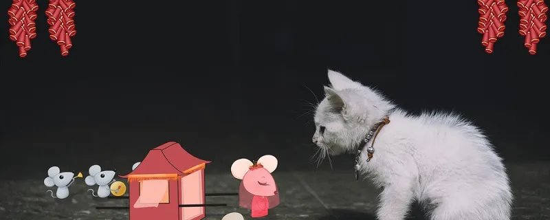 一年级下册的老鼠嫁女的故事