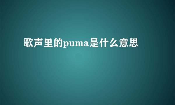 歌声里的puma是什么意思