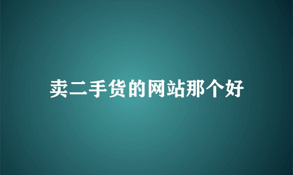 卖二手货的网站那个好