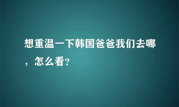 想重温一下韩国爸爸我们去哪，怎么看？