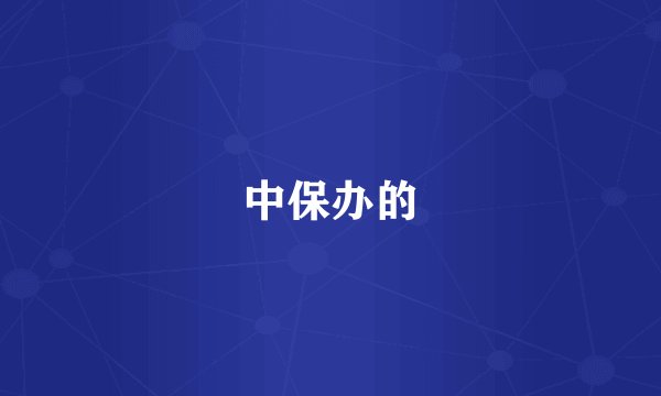 中保办的