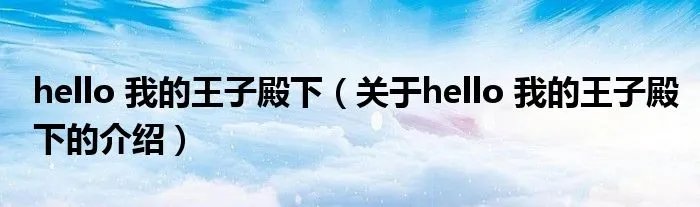hello 我的王子殿下（关于hello 我的王子殿下的介绍）
