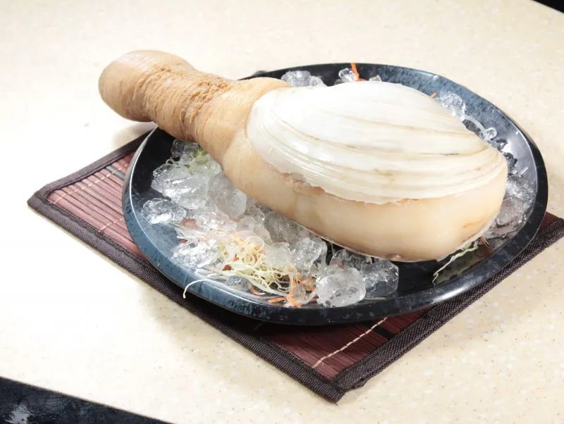 象拔蚌的营养价值