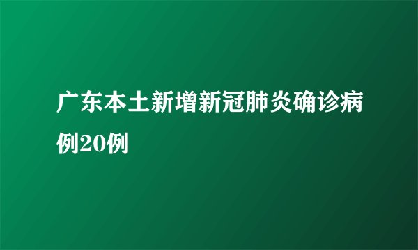 广东本土新增新冠肺炎确诊病例20例