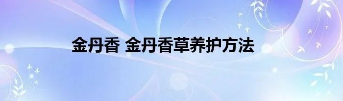 金丹香 金丹香草养护方法