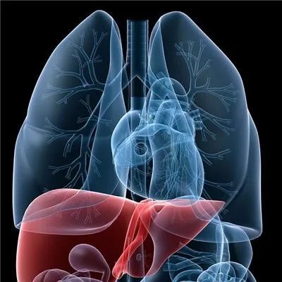 丙肝能彻底治好吗