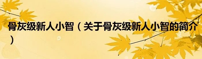 骨灰级新人小智（关于骨灰级新人小智的简介）