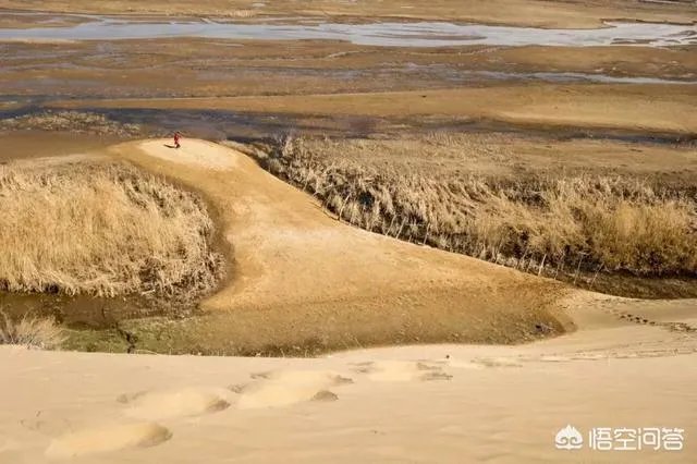 沙漠罕见8月降雪