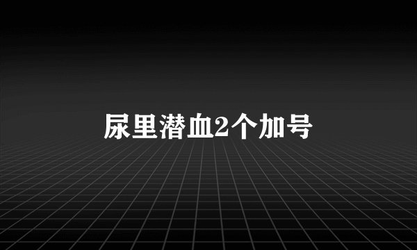 尿里潜血2个加号