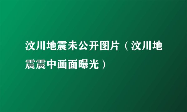 汶川地震未公开图片(汶川地震震中画面曝光)