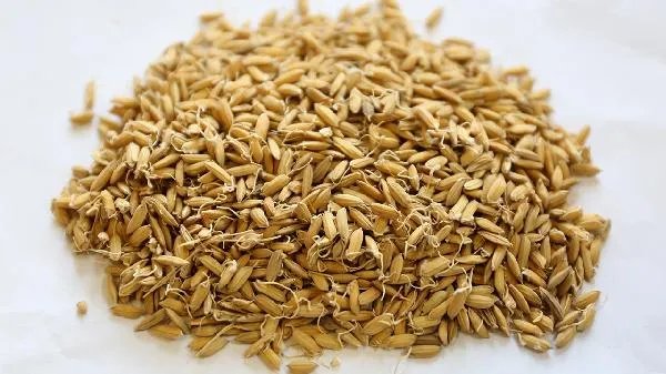 华中药业硝苯地平片怎么样