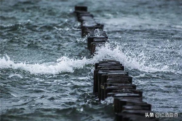 主角叫杨雨欣和老周的小说叫什么名字?