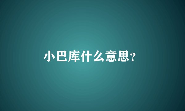 小巴库什么意思？