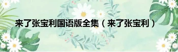 来了张宝利国语版全集（来了张宝利）