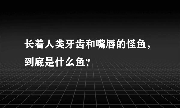 长着人类牙齿和嘴唇的怪鱼，到底是什么鱼？