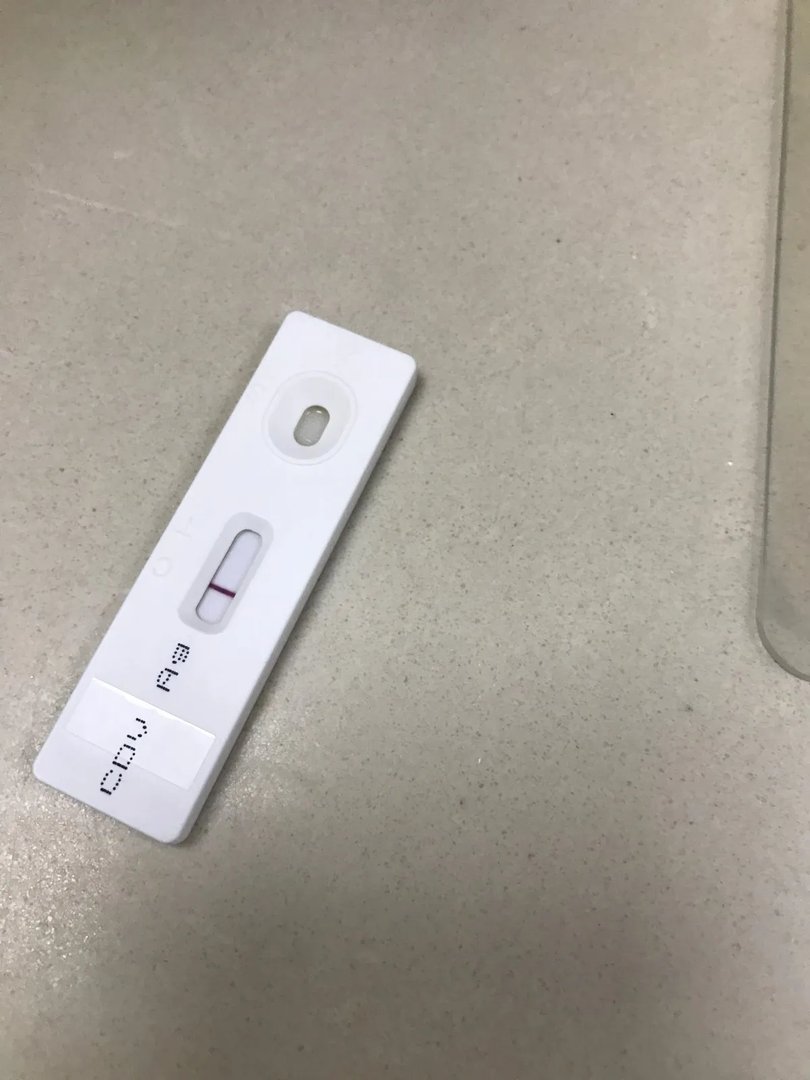 广州哪家宠物医院好