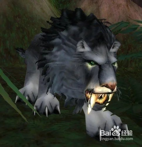 神谕者声望怎么刷