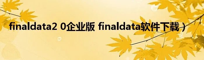 finaldata2 0企业版 finaldata软件下载）