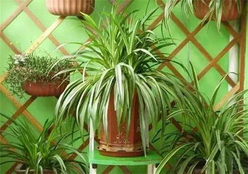 装修去味方法大全2018 新房装修用什么除味