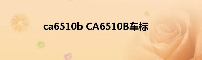 ca6510b CA6510B车标