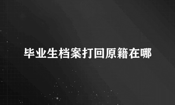 毕业生档案打回原籍在哪