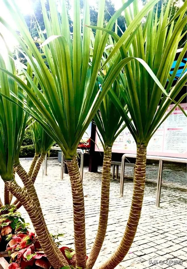 该怎么学习自媒体?