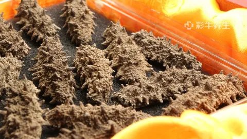 吃海参的功效与作用