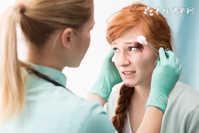 南极大冒险是什么狗 八只不同性格的狗狗