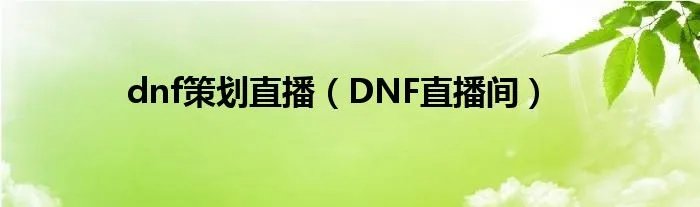 dnf策划直播(DNF直播间)