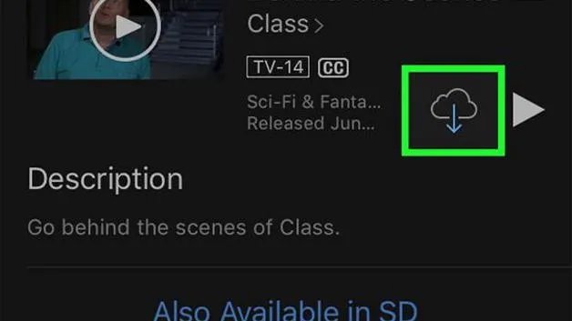 3种方法来下载电影到iPad中